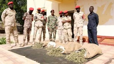 قوات الدعم السريع تحبط تهريب كميات كبيرة من الشاشمندي بشرق السودان 2 المسار نيوز قوات الدعم السريع تحبط تهريب كميات كبيرة من الشاشمندي بشرق السودان