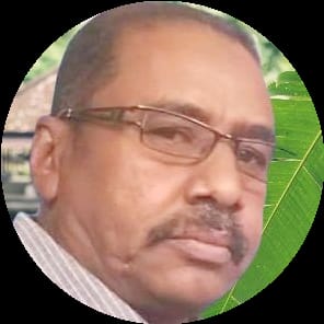 ريَّان السودان من يُنْقِذَهُ ؟ 1 المسار نيوز ريَّان السودان من يُنْقِذَهُ ؟