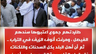 طاردتهم جموع اعتبروها سندهم الفيصل ، ومرغت أنوف الزيف في التراب .. ثم أن أهل البلد بكل السحنات واللكنات فتحت له القلوب وقالت مرحبا يوم أن عنى جمعهم في بيت من بيوت الله غير هيابٍ ولا وجل ، فتساوق المعنى والمبنى .. 2 المسار نيوز طاردتهم جموع اعتبروها سندهم الفيصل ، ومرغت أنوف الزيف في التراب .. ثم أن أهل البلد بكل السحنات واللكنات فتحت له القلوب وقالت مرحبا يوم أن عنى جمعهم في بيت من بيوت الله غير هيابٍ ولا وجل ، فتساوق المعنى والمبنى ..