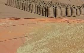 المالية : إجراءات لبناء مخزون استراتيجي وتأمين موقف الحبوب الغذائية 2 المسار نيوز المالية : إجراءات لبناء مخزون استراتيجي وتأمين موقف الحبوب الغذائية