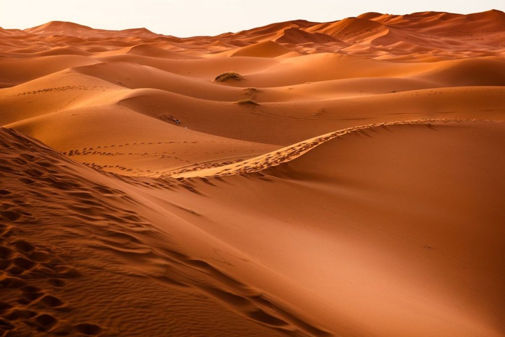مصرع معدنٍ ونقل ستة آخرين للمستشفى في حالة حرجة بعد فقدان التواصل معهم في صحراء كريمة 1 المسار نيوز مصرع معدنٍ ونقل ستة آخرين للمستشفى في حالة حرجة بعد فقدان التواصل معهم في صحراء كريمة