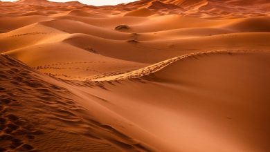 المسار نيوز مصرع معدنٍ ونقل ستة آخرين للمستشفى في حالة حرجة بعد فقدان التواصل معهم في صحراء كريمة