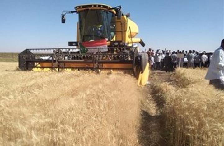 وزارة الزراعة : من يتحدثون عن حدوث مجاعه لهم مآرب 1 المسار نيوز وزارة الزراعة : من يتحدثون عن حدوث مجاعه لهم مآرب