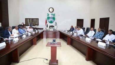 بداية تنفيذ مشروعات تنموية بغابة السنط لتحويلها لملتقى سياحي تجاري 4 المسار نيوز بداية تنفيذ مشروعات تنموية بغابة السنط لتحويلها لملتقى سياحي تجاري