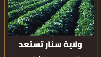 ولاية سنار تستعد للموسم الزراعي الشتوي. 2 المسار نيوز ولاية سنار تستعد للموسم الزراعي الشتوي.