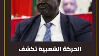 الحركة الشعبية تكشف خبايا أحداث النيل الأزرق الدامية : بيان 3 المسار نيوز الحركة الشعبية تكشف خبايا أحداث النيل الأزرق الدامية : بيان