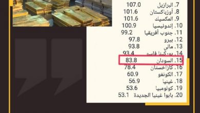 CNN.. سقطة مهنية 2 المسار نيوز CNN.. سقطة مهنية