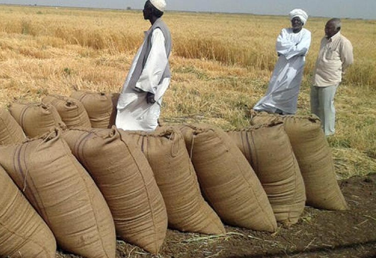 نيالا تتسلم "10" الاف جوال ذرة لدعم المدينة اقتصاديا. 1 المسار نيوز نيالا تتسلم "10" الاف جوال ذرة لدعم المدينة اقتصاديا.