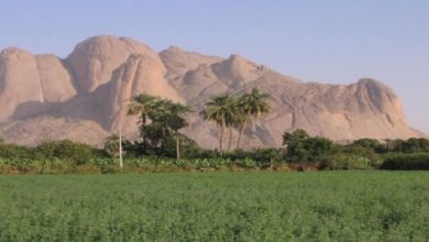 نظارة عموم الشكرية بولايتي كسلا والقضارف 5 المسار نيوز نظارة عموم الشكرية بولايتي كسلا والقضارف