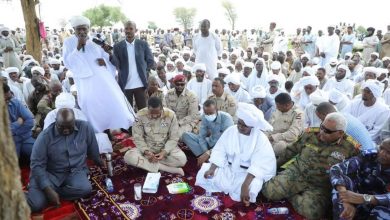قوات مشتركة سودانية، تشادية تسترد مواشي منهوبة بمنطقة “بئر سليبة " الحدودية. 6 المسار نيوز قوات مشتركة سودانية، تشادية تسترد مواشي منهوبة بمنطقة “بئر سليبة " الحدودية.