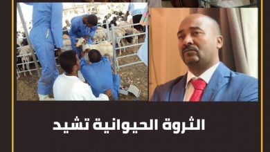الثروة الحيوانية تشيد اكبر محجر بيطري بجنوب دافور 4 المسار نيوز الثروة الحيوانية تشيد اكبر محجر بيطري بجنوب دافور