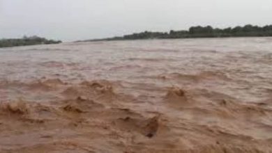 لجنة طواري "الفيضان" تكشف عن وصول منسوب النيل أعلي المستويات. 4 المسار نيوز لجنة طواري "الفيضان" تكشف عن وصول منسوب النيل أعلي المستويات.