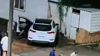 شاهد عيان يروي تفاصيل جديدة عن حادثة مقتل شاب بشارع النيل 7 المسار نيوز شاهد عيان يروي تفاصيل جديدة عن حادثة مقتل شاب بشارع النيل