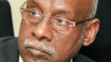 دراسة لبروفيسور بجامعة الخرطوم: الديمقراطية ستقود السودان للاضطراب السياسي والمجتمعي 4 المسار نيوز دراسة لبروفيسور بجامعة الخرطوم: الديمقراطية ستقود السودان للاضطراب السياسي والمجتمعي