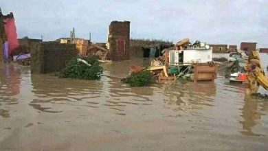 انهيار (122) مدرسة كلياً وجزئياً بولايتي الجزيرة ونهر النيل  4 المسار نيوز انهيار (122) مدرسة كلياً وجزئياً بولايتي الجزيرة ونهر النيل