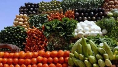 أرتفاع أسعار الخضروات بأسواق الخرطوم. 3 المسار نيوز أرتفاع أسعار الخضروات بأسواق الخرطوم.