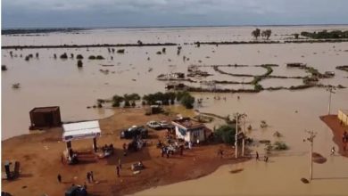 ارتفاع محصلة السيول والفيضانات إلى (89) قتيلا 2 المسار نيوز ارتفاع محصلة السيول والفيضانات إلى (89) قتيلا