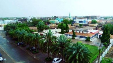 عن شندي و عيد الجيش وفاطمة الشايقية ..!!!! (1) 5 المسار نيوز عن شندي و عيد الجيش وفاطمة الشايقية ..!!!! (1)