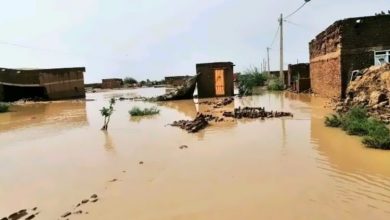 مصرع (24) شخصا بولاية شمال كردفان بسبب السيول والفيضانات. 6 المسار نيوز مصرع (24) شخصا بولاية شمال كردفان بسبب السيول والفيضانات.