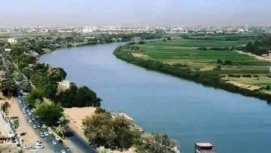 والي الخرطوم يوجه بمراجعة تعاقدات تأهيل وتجميل شارع النيل. 2 المسار نيوز والي الخرطوم يوجه بمراجعة تعاقدات تأهيل وتجميل شارع النيل.