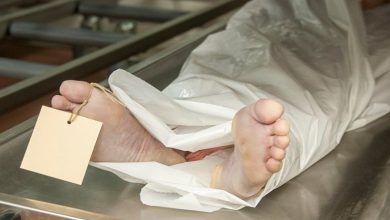 عقيل سوار الدهب : جثث مجهولة الهوية أصبحت هياكل عظمية وبعضها التهمتها الفئران 4 المسار نيوز عقيل سوار الدهب : جثث مجهولة الهوية أصبحت هياكل عظمية وبعضها التهمتها الفئران