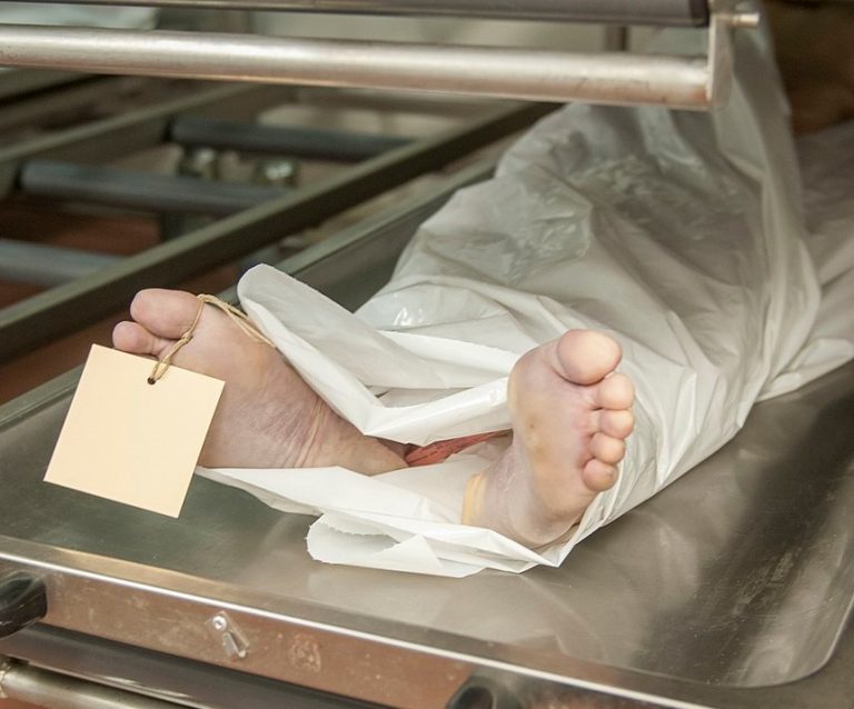 عقيل سوار الدهب : جثث مجهولة الهوية أصبحت هياكل عظمية وبعضها التهمتها الفئران 1 المسار نيوز عقيل سوار الدهب : جثث مجهولة الهوية أصبحت هياكل عظمية وبعضها التهمتها الفئران