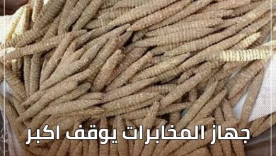 المسار نيوز جهاز المخابرات يوقف اكبر مروجي المخدرات بسودري
