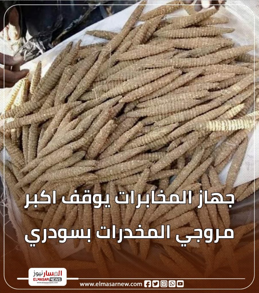 جهاز المخابرات يوقف اكبر مروجي المخدرات بسودري 1 المسار نيوز جهاز المخابرات يوقف اكبر مروجي المخدرات بسودري