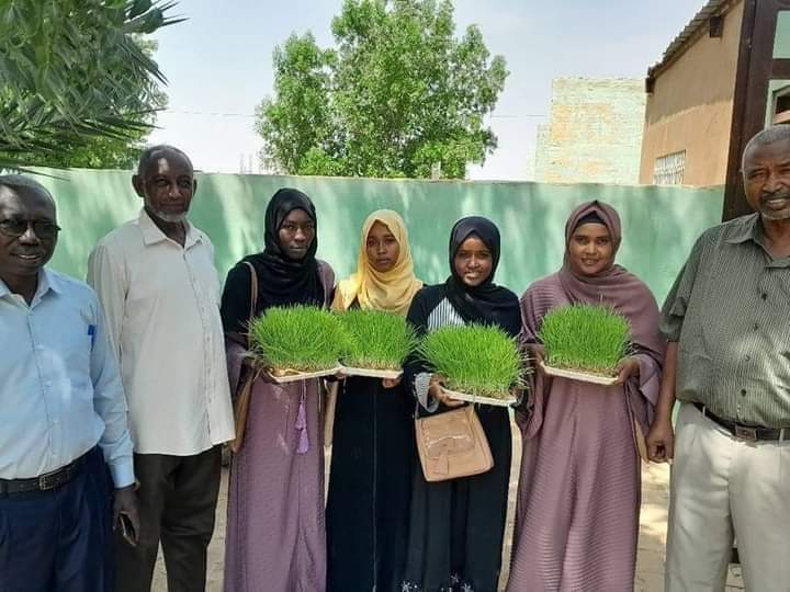 زراعة الإسلامية تحقق فتحاً جديداً في إنتاج الأعلاف 1 المسار نيوز زراعة الإسلامية تحقق فتحاً جديداً في إنتاج الأعلاف