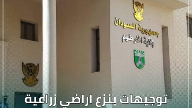 توجيهات بنزع اراضي زراعية غير مستثمرة بولاية الخرطوم 4 المسار نيوز توجيهات بنزع اراضي زراعية غير مستثمرة بولاية الخرطوم