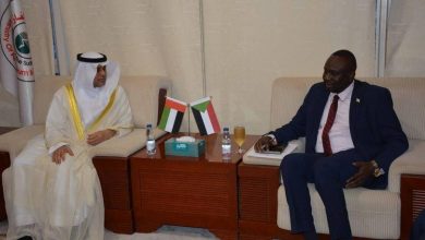 الإمارات تؤكد رغبة الشركات في التوجه نحو السودان 5 المسار نيوز الإمارات تؤكد رغبة الشركات في التوجه نحو السودان