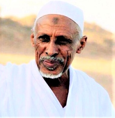 زيارات مرتقبة لمبادرة نداء اهل السودان للولايات 1 المسار نيوز زيارات مرتقبة لمبادرة نداء اهل السودان للولايات