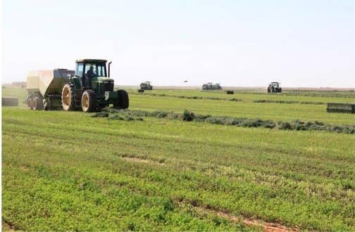 مشروع تطوير الزراعة يوفر 700 مليون جنيه لصغار المنتجين بـ(4) ولايات 1 المسار نيوز مشروع تطوير الزراعة يوفر 700 مليون جنيه لصغار المنتجين بـ(4) ولايات