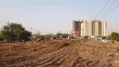 تنفيذ أكبر حملة لإزالة الأنشطة التجارية العشوائية بمنطقة غابة السنط 2 المسار نيوز تنفيذ أكبر حملة لإزالة الأنشطة التجارية العشوائية بمنطقة غابة السنط