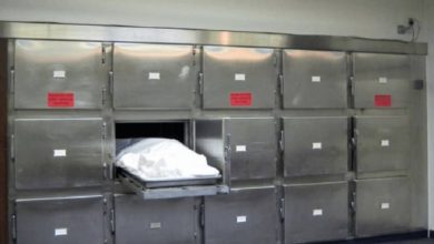 هيئة الطب العدلى تتمسك باستقلاليتها وحيادها في قضية( الجثث) 6 المسار نيوز هيئة الطب العدلى تتمسك باستقلاليتها وحيادها في قضية( الجثث)