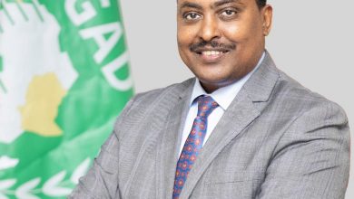 (الايغاد) تدين الهجوم علي الجيش الجيبوتي وتدعو لمحاكمة المجرمين 6 المسار نيوز (الايغاد) تدين الهجوم علي الجيش الجيبوتي وتدعو لمحاكمة المجرمين