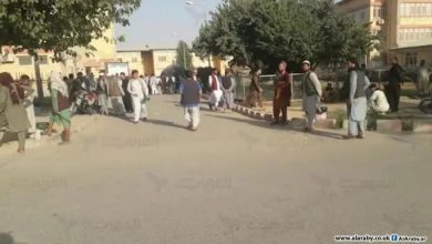 حقيقة ما يجري في لقاوة 4 المسار نيوز حقيقة ما يجري في لقاوة