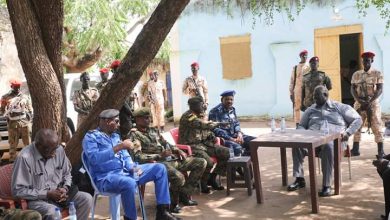 عقار : عمليات الدمج الجارية تتم وفق معايير الجيش 5 المسار نيوز عقار : عمليات الدمج الجارية تتم وفق معايير الجيش