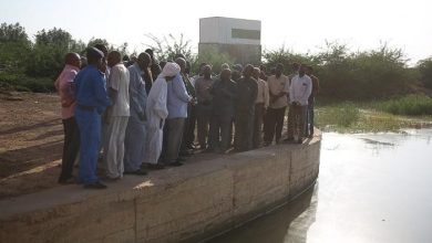 ولاية الخرطوم تشرع في حصر أصول وممتلكات مشروع سندس الزراعي 3 المسار نيوز ولاية الخرطوم تشرع في حصر أصول وممتلكات مشروع سندس الزراعي