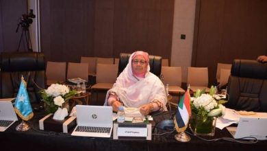 إنعقاد الدورة 27 للمنظمة العربية للتنمية الصناعية بالمغرب 5 المسار نيوز إنعقاد الدورة 27 للمنظمة العربية للتنمية الصناعية بالمغرب