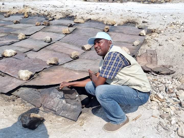 الأبحاث الجيلوجية تشرع في تنفيذ مشاريع بالبحر الأحمر 1 المسار نيوز الأبحاث الجيلوجية تشرع في تنفيذ مشاريع بالبحر الأحمر