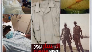 الكاكي ؛ صديق الوفاء والنخوة والعشم الممدود 5 المسار نيوز الكاكي ؛ صديق الوفاء والنخوة والعشم الممدود