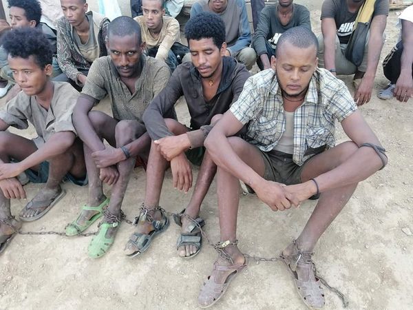 القوات المسلحة تحرر 20 رهينة من عصابات الاتجار بالبشر 1 المسار نيوز القوات المسلحة تحرر 20 رهينة من عصابات الاتجار بالبشر