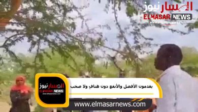 يقدمون الأفضل والأنفع دون هتاف ولا صخب 4 المسار نيوز يقدمون الأفضل والأنفع دون هتاف ولا صخب