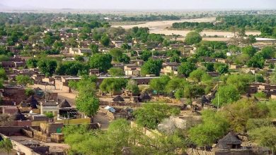 الصحة تكشف عن (8) أصابات بحمي الشكنغونيا بجنوب دارفور 3 المسار نيوز الصحة تكشف عن (8) أصابات بحمي الشكنغونيا بجنوب دارفور