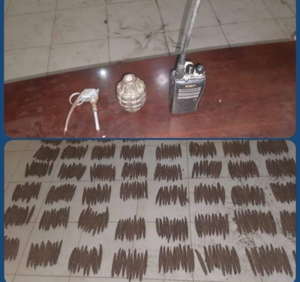 ضبط متهم بحوزته (500)رأس حشيش 1 المسار نيوز ضبط متهم بحوزته (500)رأس حشيش