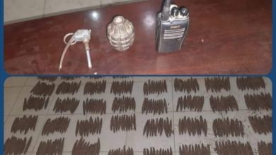 ضبط متهم بحوزته (500)رأس حشيش 3 المسار نيوز ضبط متهم بحوزته (500)رأس حشيش