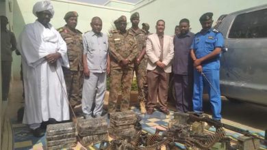 ضبط أسلحة مهربة بالقرب من الحدود المصرية 5 المسار نيوز ضبط أسلحة مهربة بالقرب من الحدود المصرية