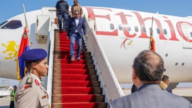 مدير الأبحاث الجيولوجية: يجب علينا وقف تهريب الثروات المعدنية 6 المسار نيوز مدير الأبحاث الجيولوجية: يجب علينا وقف تهريب الثروات المعدنية