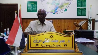 مشروع الجزيرة يعلن تخفيض أسعار تقاوي القمح 6 المسار نيوز مشروع الجزيرة يعلن تخفيض أسعار تقاوي القمح